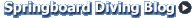 Go To Springboard Diving Blog
